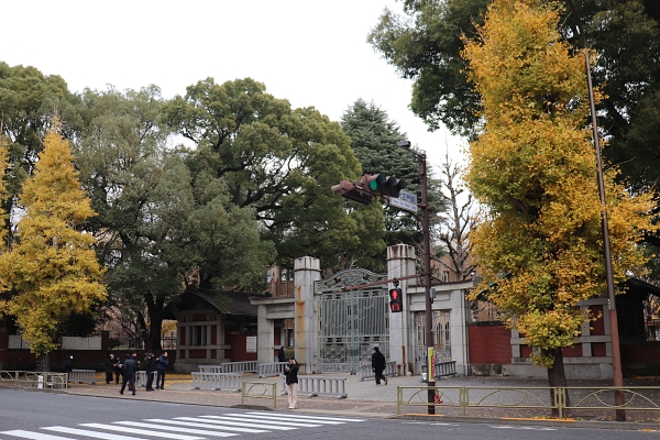 Tokyo University 