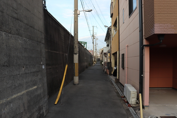 尻無川の堤防