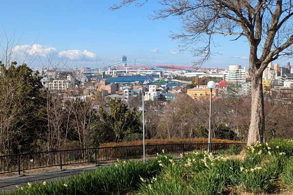昭和山からの眺め