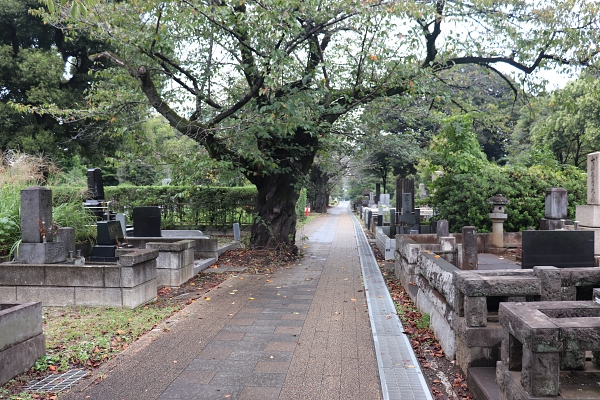 青山霊園