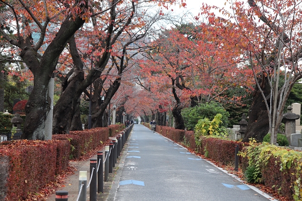 青山霊園