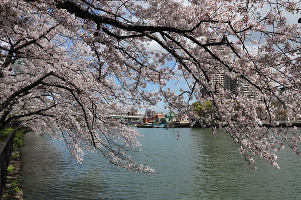 毛馬桜ノ宮公園