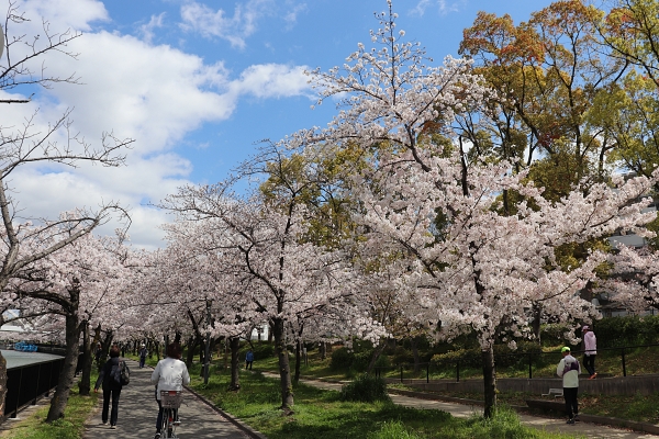毛馬桜ノ宮公園