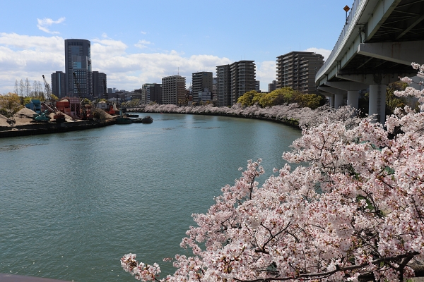 毛馬桜ノ宮公園