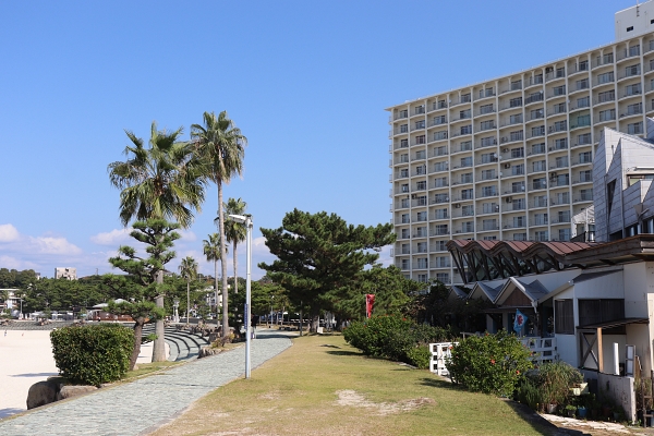 ヤシの木と海岸