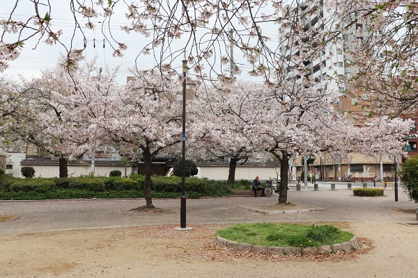 天下茶屋公園