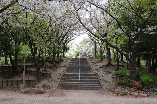 南津守中央公園