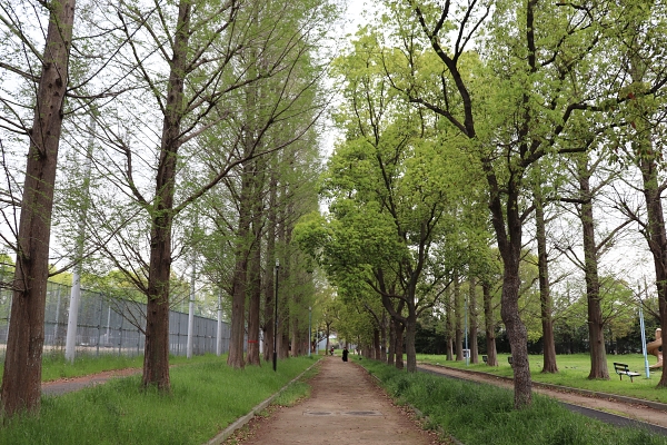 西成公園