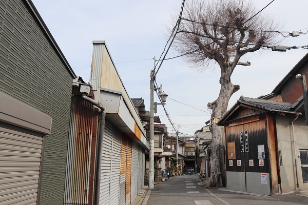 だんじり車庫と大きな木