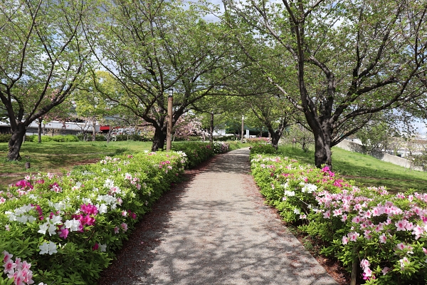 西郷川河口公園